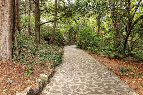 Stone Walkway Repair in Frankfort