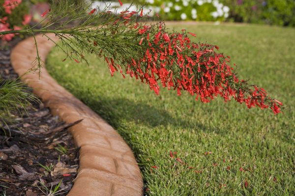 Brick Edging in Frankfort