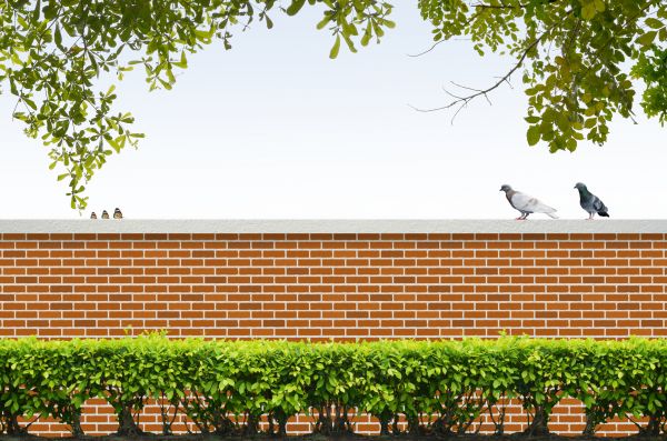 Brick Boundary Installation