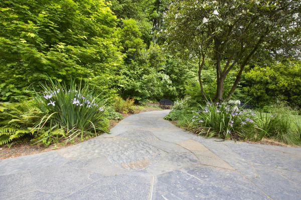 Stone Hardscape Service in Frankfort