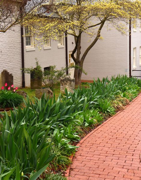 Brick Flatwork Repair in Frankfort